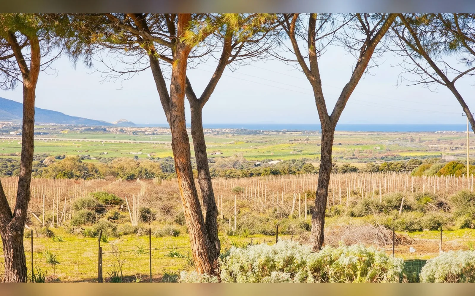 Villa Jolies, 