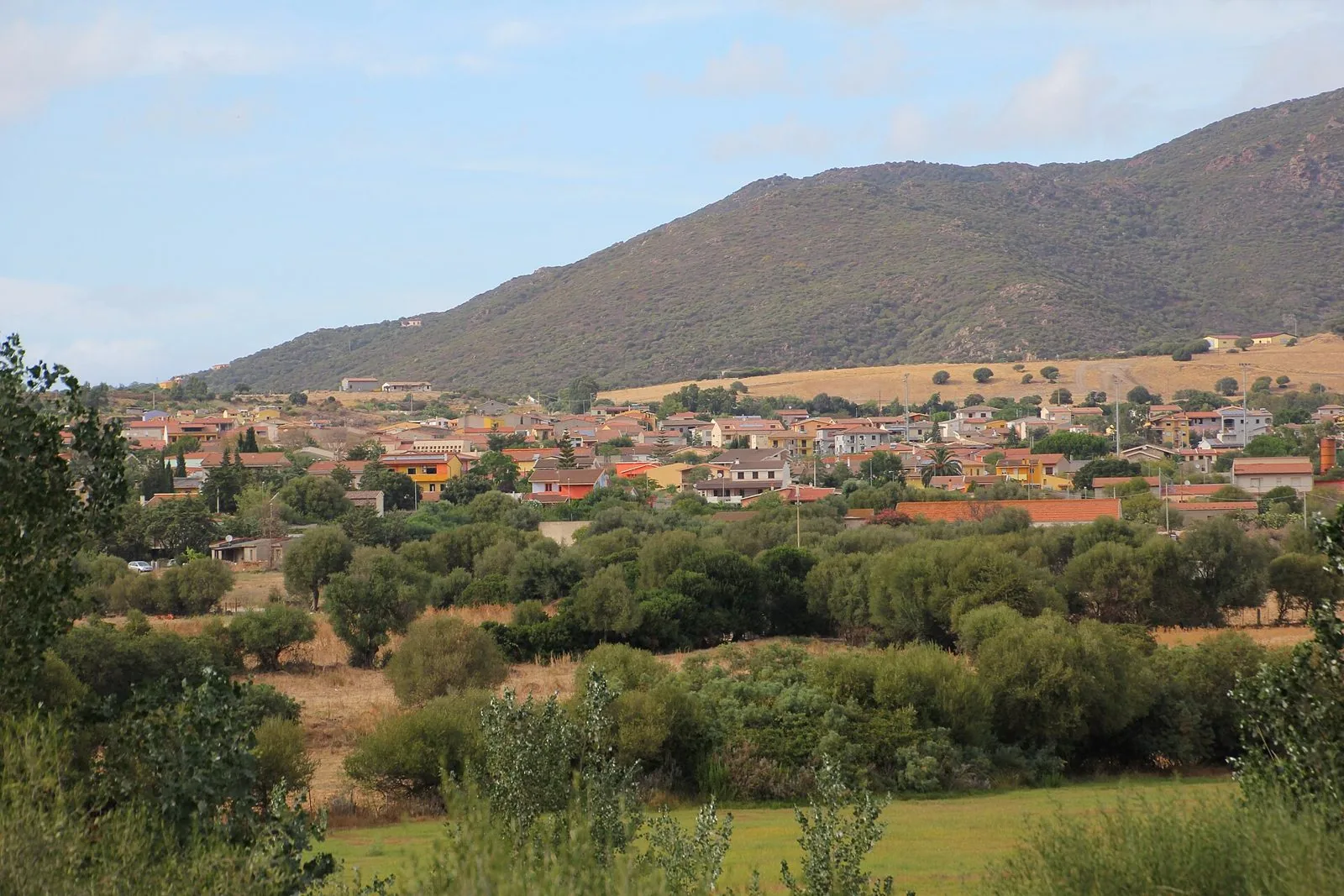 Il paese di Viddalba fra olivastri e campi, ai piedi di una collina coperta di macchia mediterranea