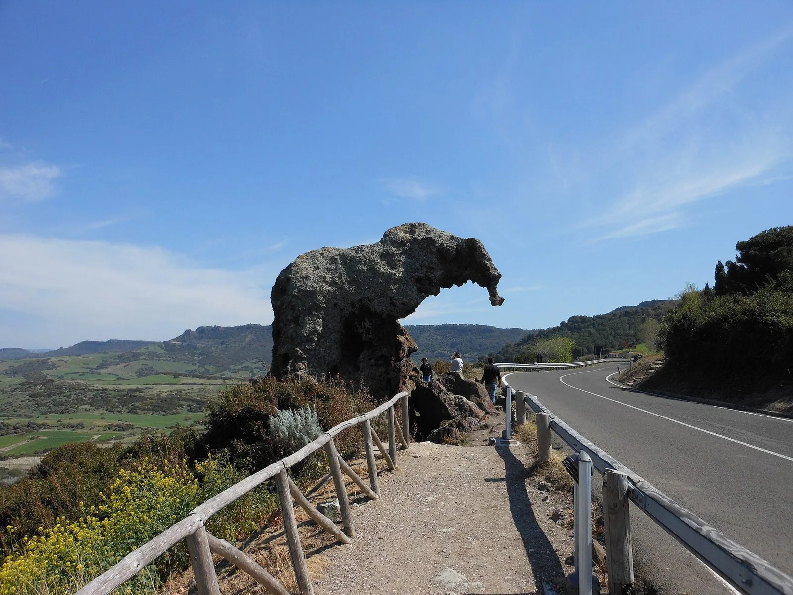 La Roccia dell'Elefante, masso vulcanico a forma di elefante con la proboscide, sul ciglio della strada fra colline verdi