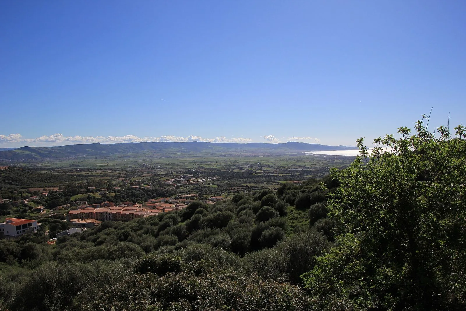 Colline verdi dell'Anglona in aprile, con la pianura della bassa valle del Coghinas e il mare all'orizzonte